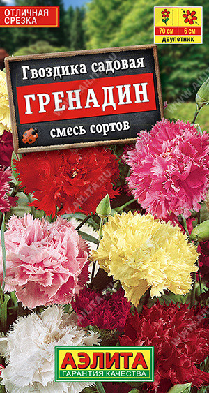 Гвоздика садовая смесь сортов «Гренадин» | Аэлита