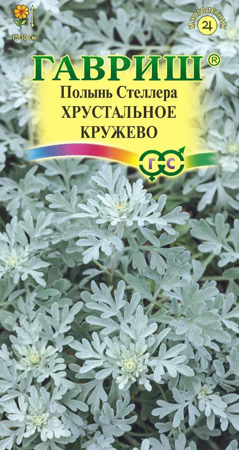 Полынь Стеллера «Хрустальное кружево» | Гавриш