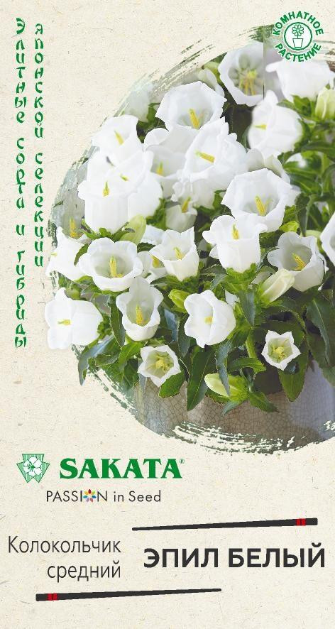 Колокольчик средний «Эпил белый» | Элитные сорта и гибриды японской селекции | Sakata