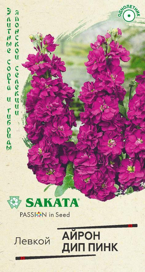 Левкой седой «Айрон дип пинк» | Эксклюзив | Sakata