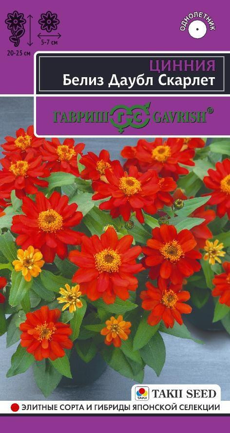 Цинния «Белиз Даубл Скарлет» | Эксклюзив | Takii Seed
