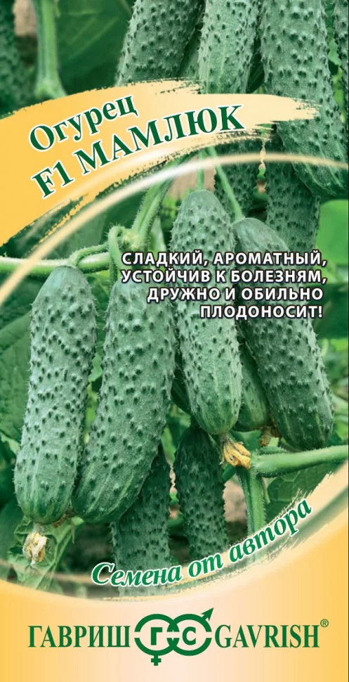 Огурец «Мамлюк F1» | Семена от автора | Гавриш