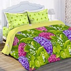 Комплект постельного белья «Гиацинт» (арт. 10618, семейный, БИОкомфорт, 2 наволочки 70х70)