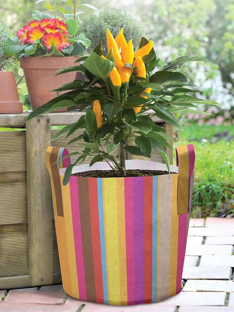 Мешок для хранения и рассады декоративный | Строгая радуга | JoyArty