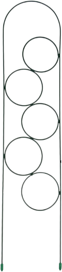 Шпалера «Мини-кольцо»