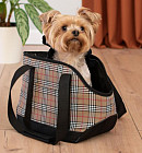 клетка клетка