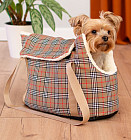 клетка клетка