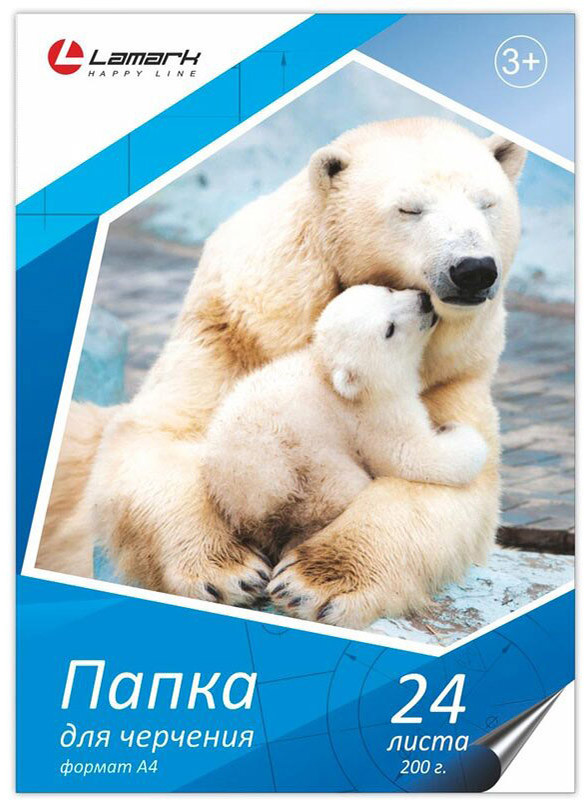 Папка для черчения | Lamark