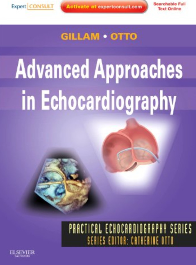 Advanced Approaches in Echocardiography