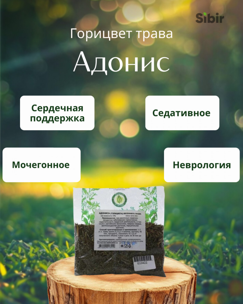 Адонис. Горицвет трава | Травник Гордеев