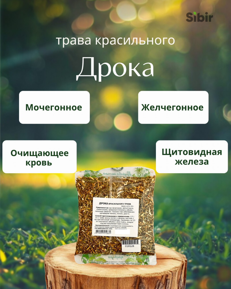 Дрока красильного трава | Травник Гордеев