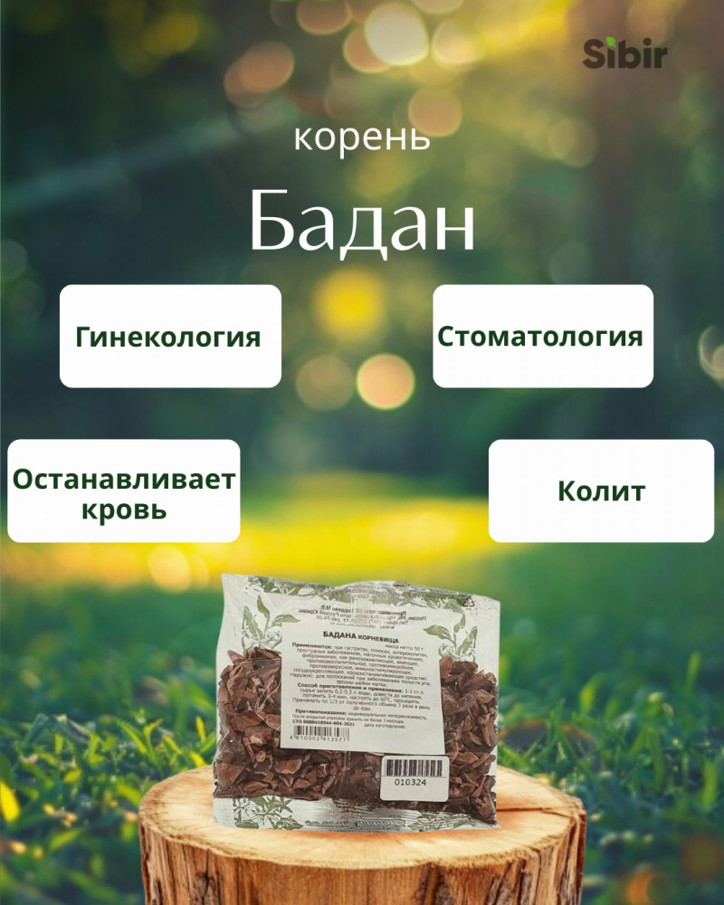 Бадан корень | Травник Гордеев