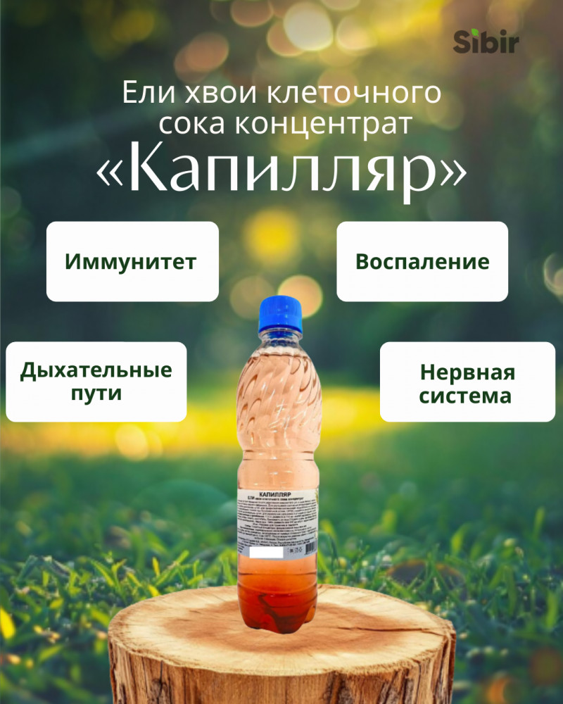 Ели хвои клеточного сока концентрат «Капилляр» | Травник Гордеев