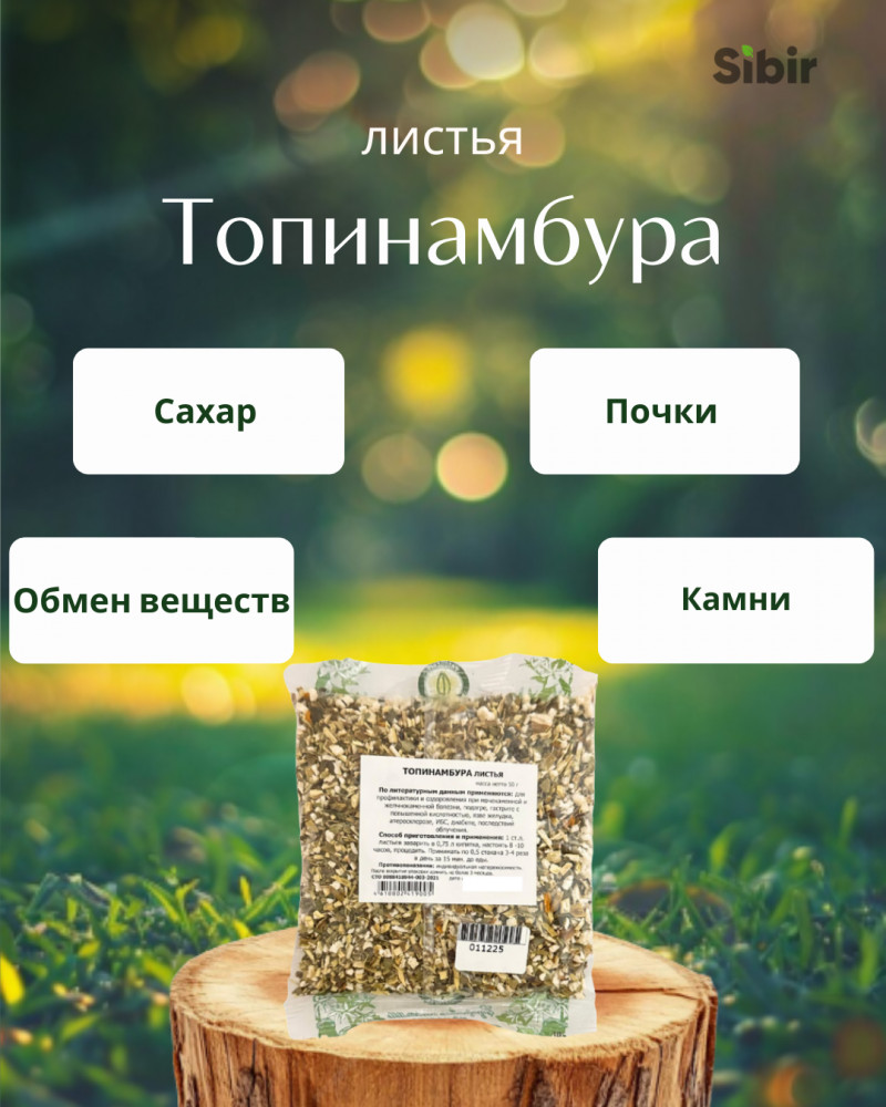 Топинамбура листья | Травник Гордеев