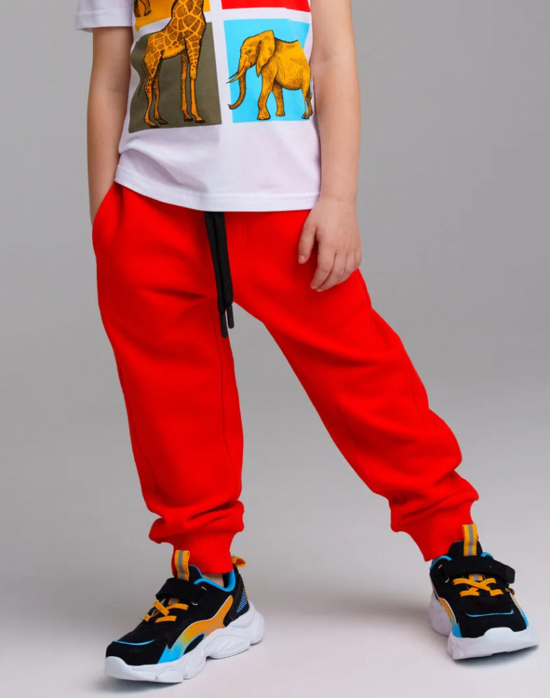 Брюки для мальчиков | Safari | PlayToday