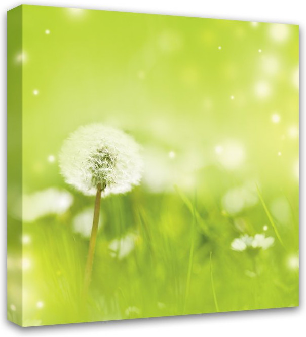 Картина на деревянном подрамнике «Одуванчик» | Симфония