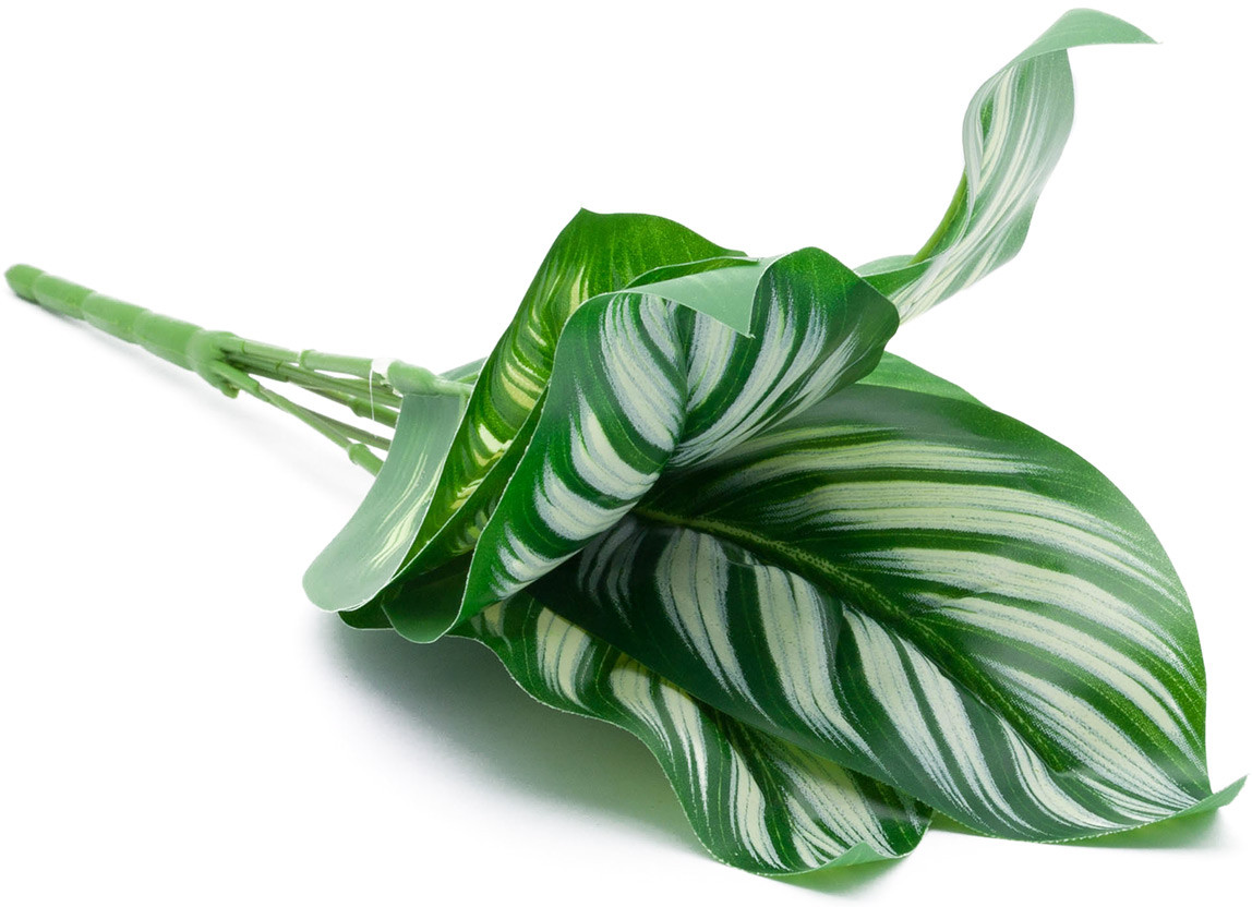 Ветка искусственная «Диффенбахия» | Айрис