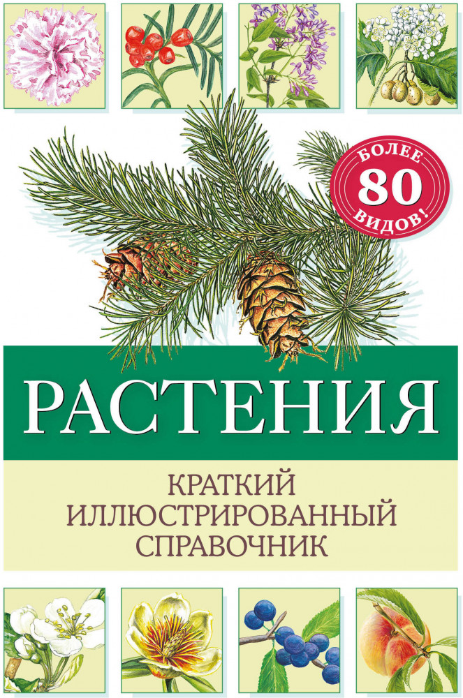 Растения. Краткий иллюстрированный справочник | Атласы и энциклопедии. Краткий иллюстрированный справочник