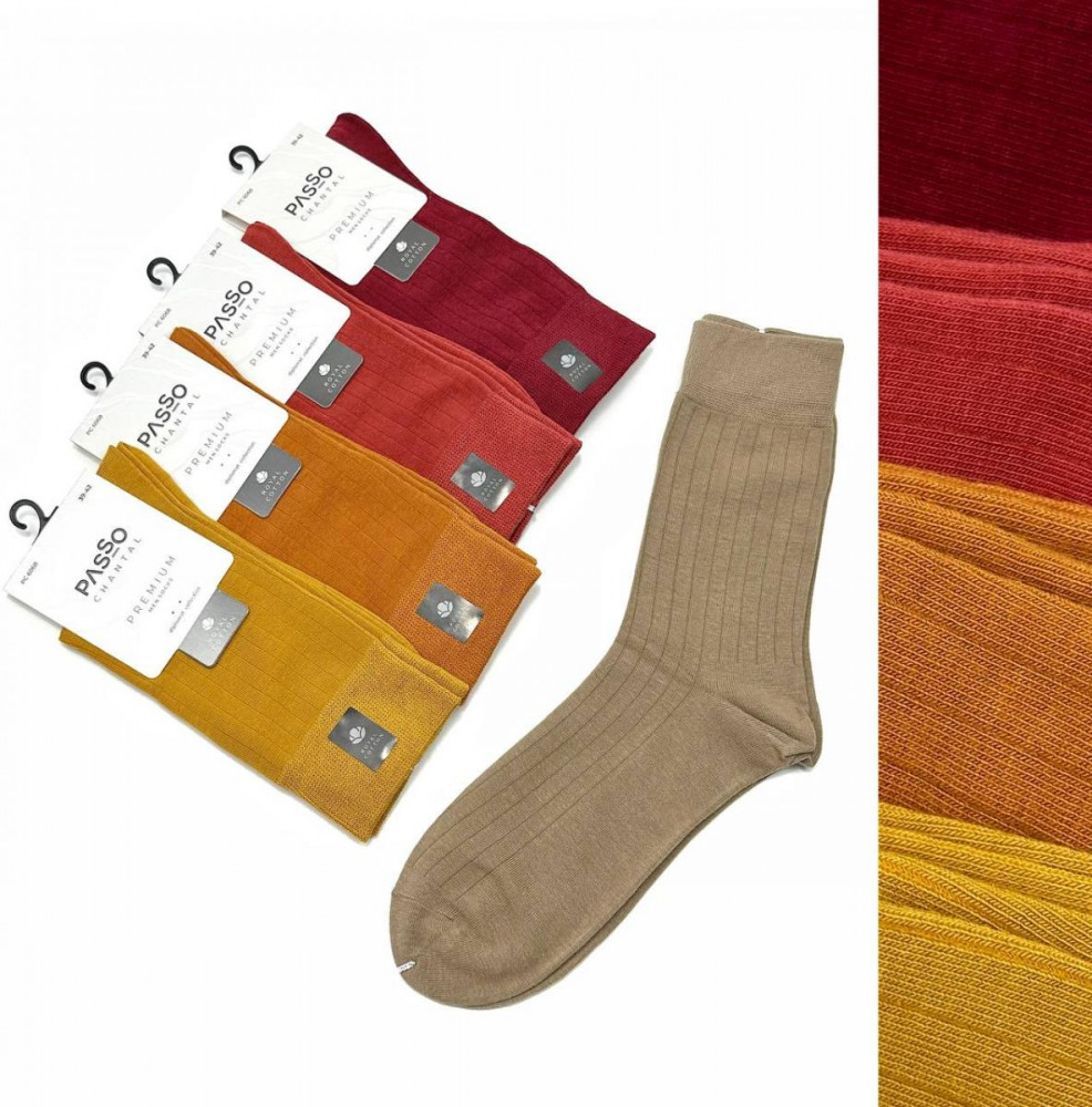 Комплект носков мужских «Diplomat» | Premium | Passo Chantal
