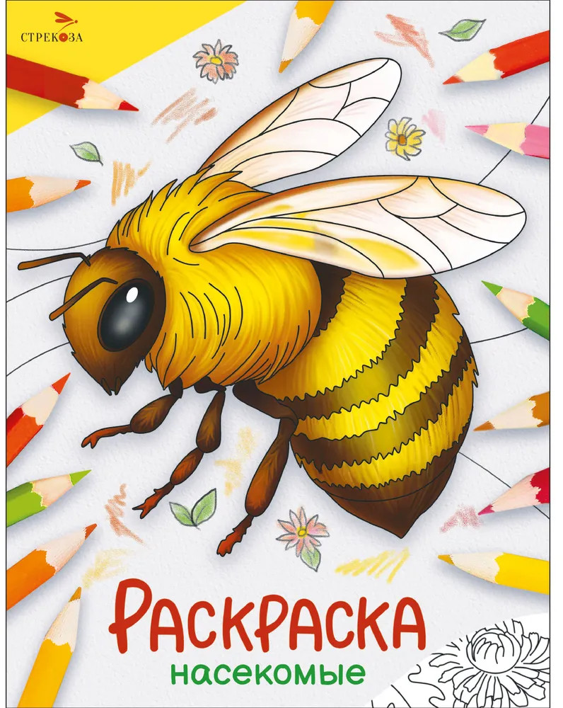 Раскраска «Насекомые» | Окружающий мир. Раскраска