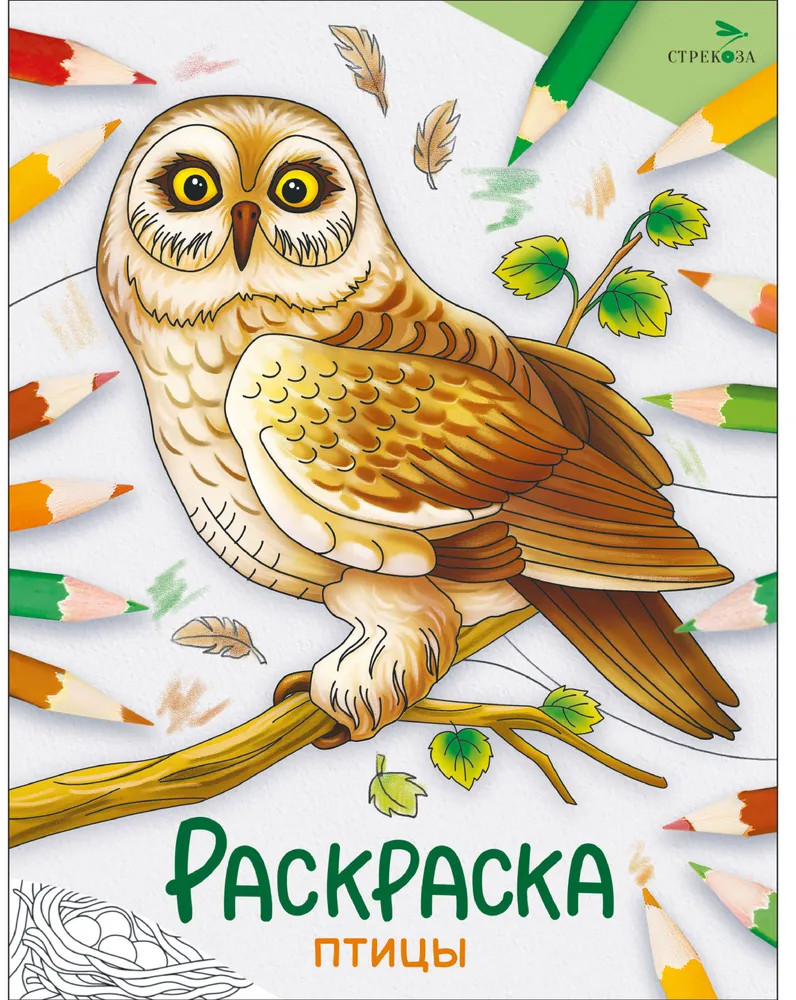 Раскраска «Птицы» | Окружающий мир. Раскраска