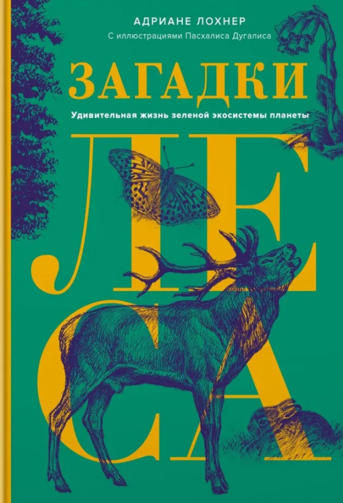 Загадки леса. Удивительная жизнь зелёной экосистемы планеты | Научный интерес