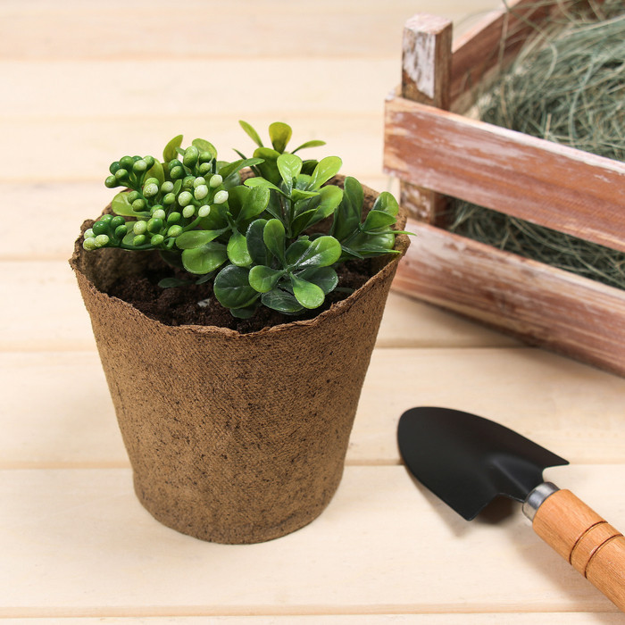 Набор торфяных горшков | Экоторф