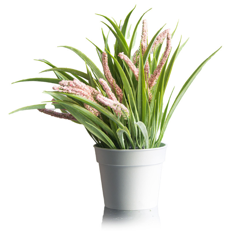 Бонсай в горшке «Лаванда в траве» | ИнтерPresent