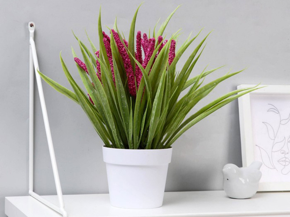 Бонсай в горшке «Лаванда в траве» | ИнтерPresent