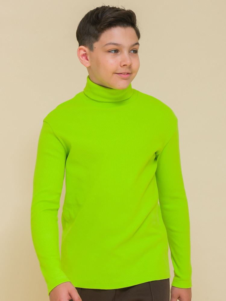 Водолазка для мальчиков | Pelican