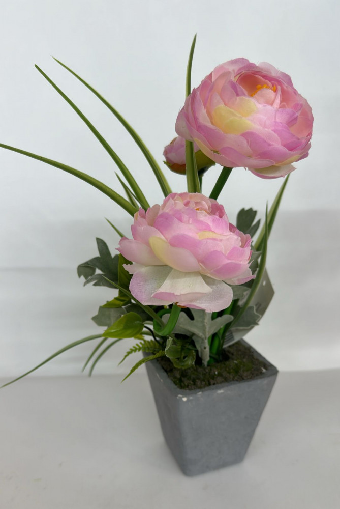 Композиция в горшочке «Пионы» | ИнтерPresent