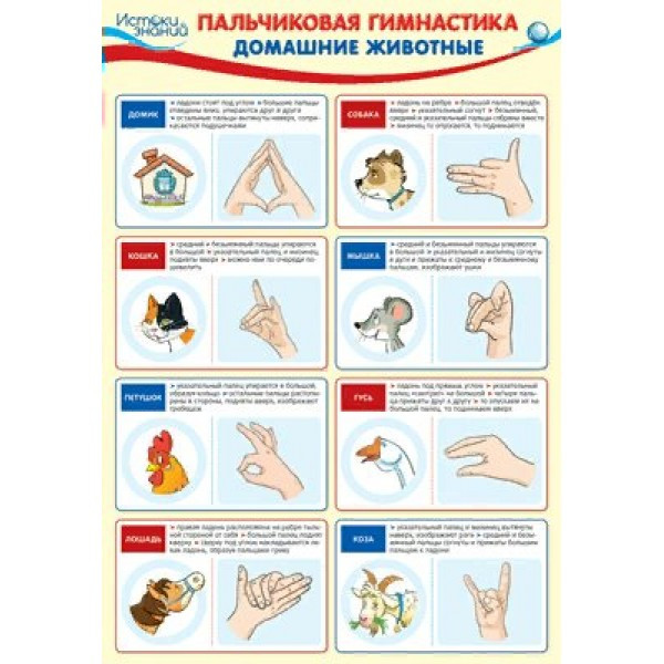Плакат «Пальчиковая гимнастика. Домашние животные»
