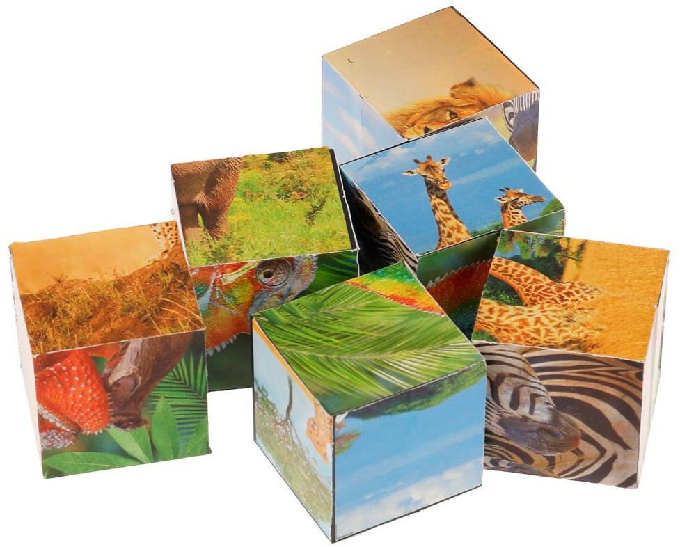 Набор кубиков «Экзотические животные» | Умные игры