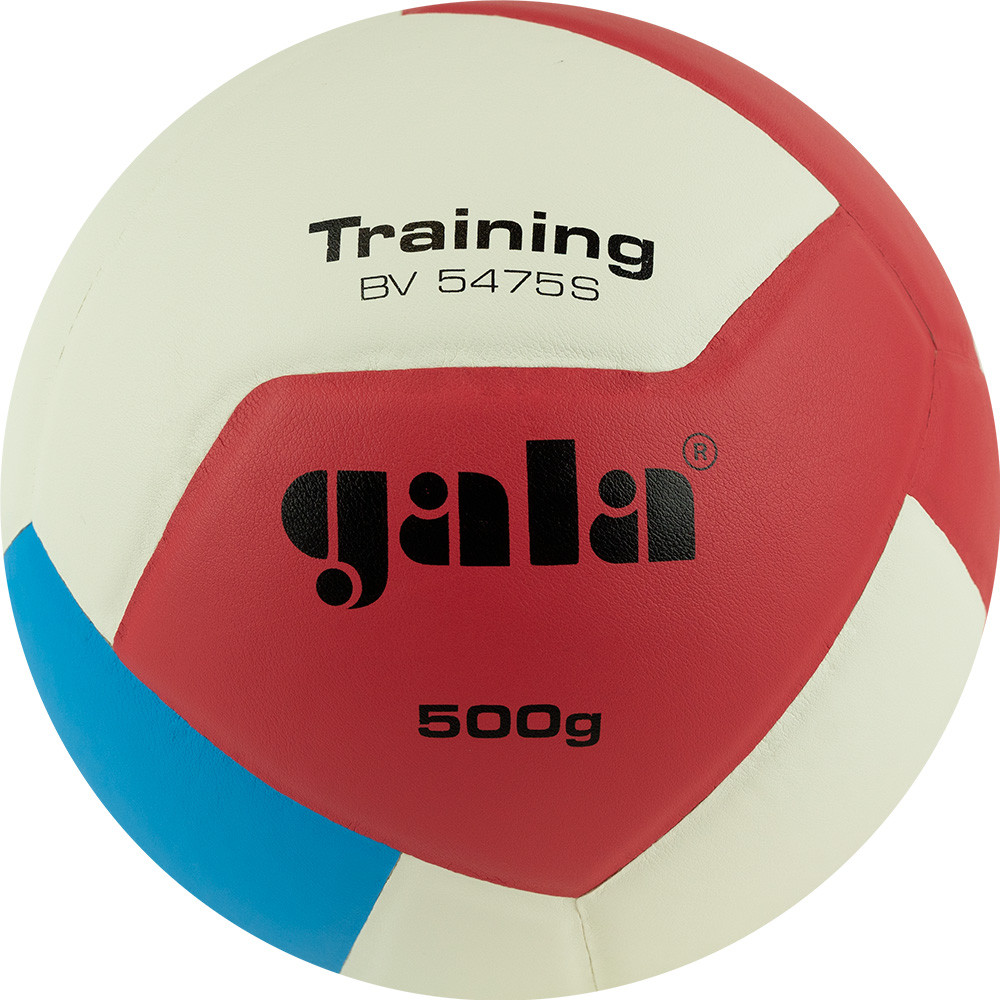 Мяч волейбольный «Training Heavy» | Gala