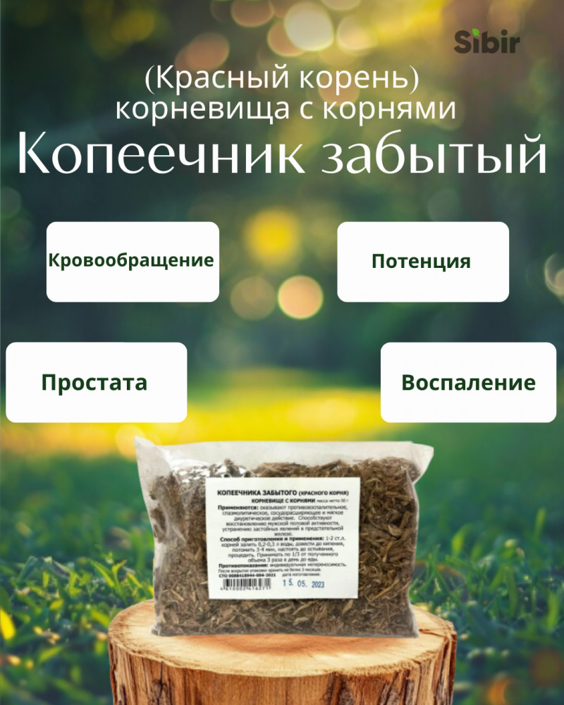 Копеечник забытый (Красный корень), корневища с корнями | Травник Гордеев