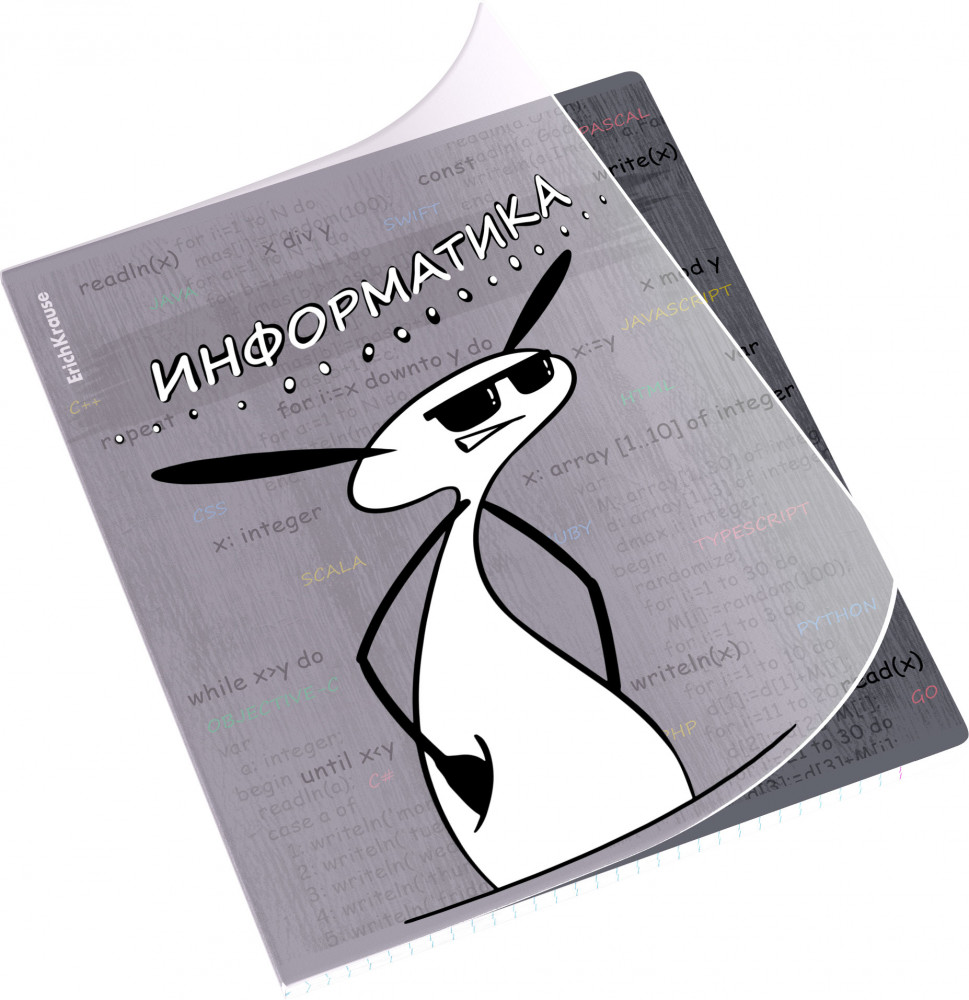 Тетрадь ученическая с пластиковой обложкой «Информатика» | Чубрик | Erich Krause