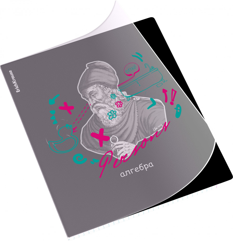 Тетрадь ученическая с пластиковой обложкой «Алгебра» | Persons | Erich Krause