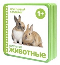 Домашние животные | Мой первый словарик в картинках