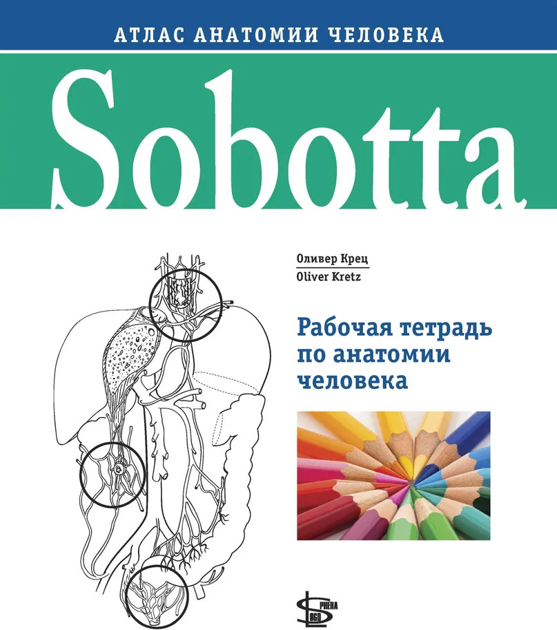Sobotta. Рабочая тетрадь по анатомии человека