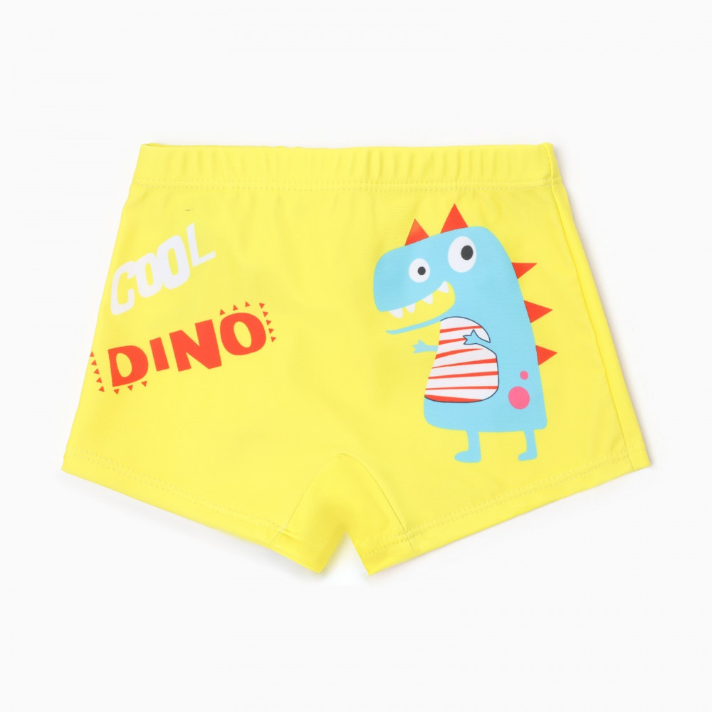 Плавки купальные для мальчиков «Cool Dino» | MINAKU
