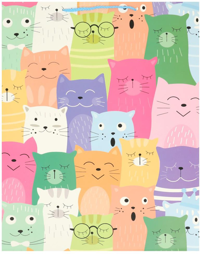 Пакет подарочный | Чудо праздник