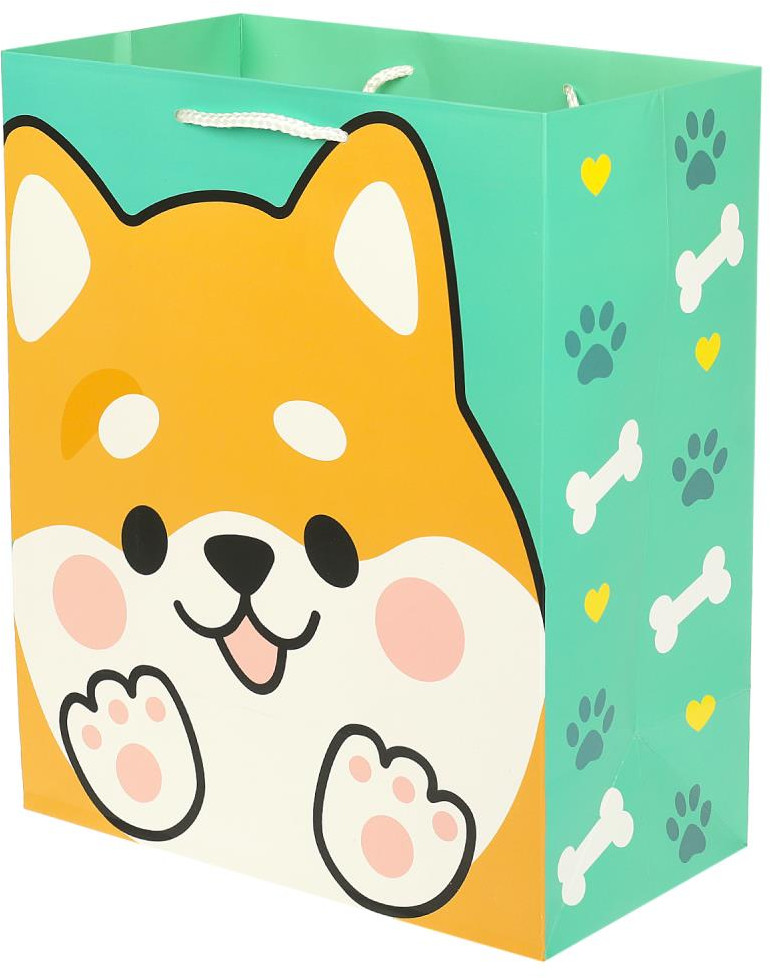 Пакет подарочный | Чудо праздник