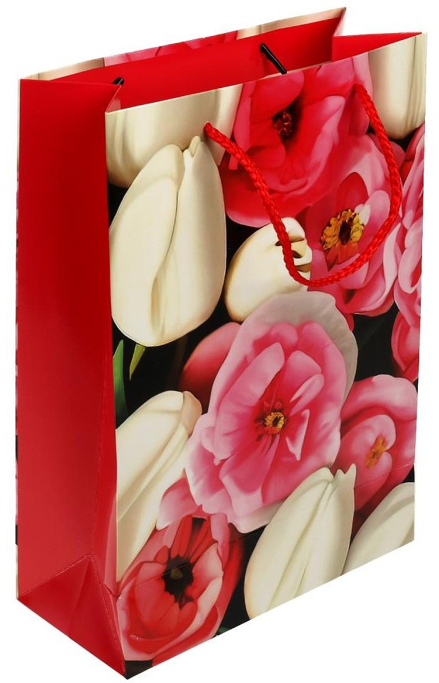 Пакет подарочный | Чудо праздник