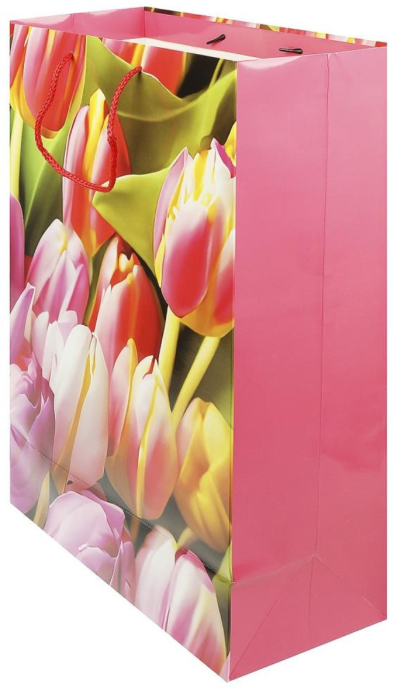 Пакет подарочный | Чудо праздник