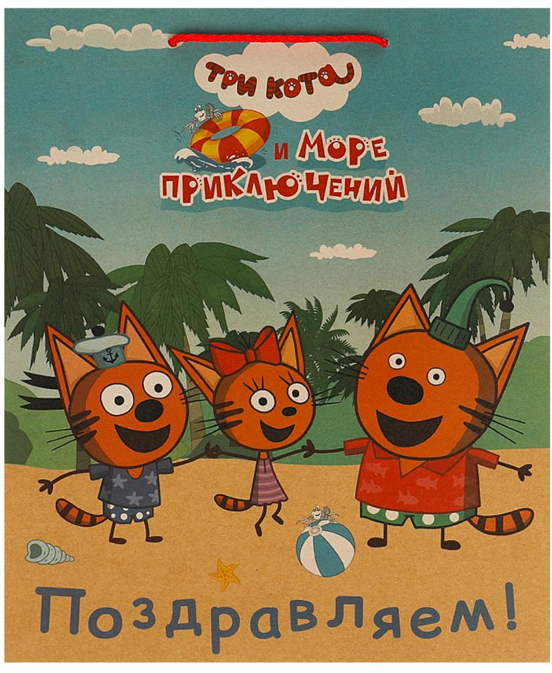 Подарочный пакет «Три кота» | Чудо праздник