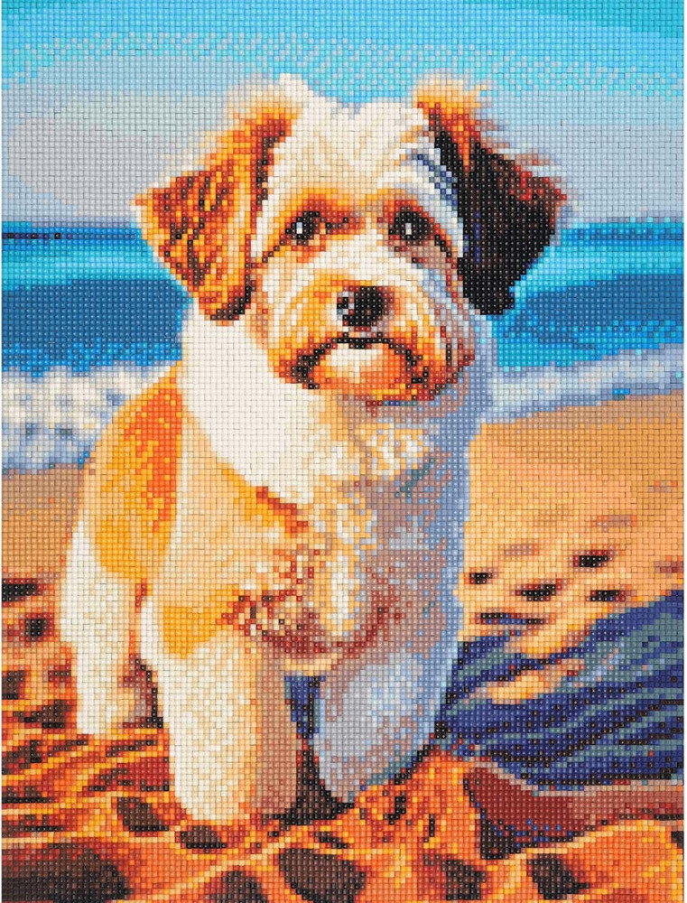 Мозаика алмазная «Малыш терьер» | Cristyle