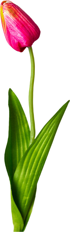 Цветок искусственный «Тюльпан» | Lefard