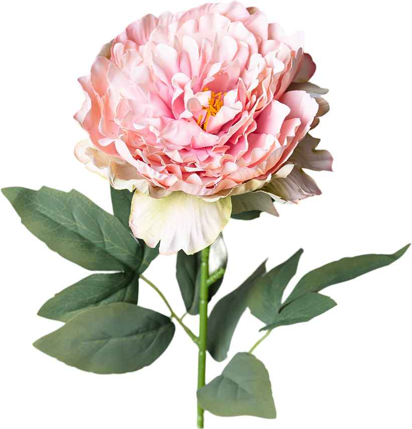 Цветок искусственный «Пион» | Lefard