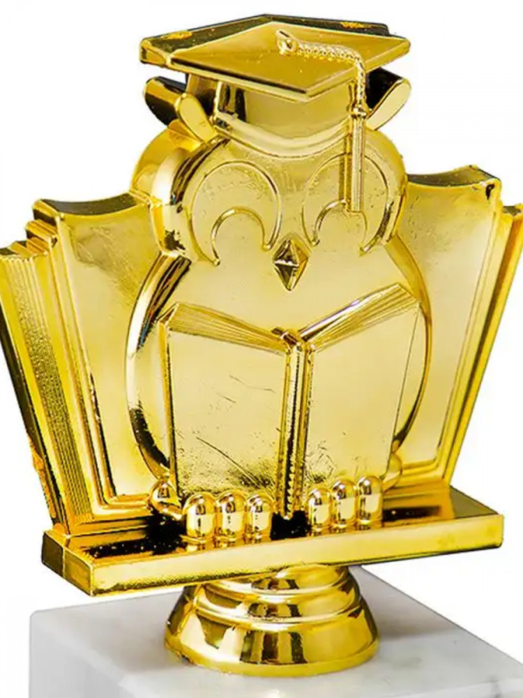 Кубок «Образование» | ИнтерPresent