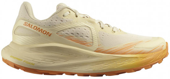 Кроссовки беговые женские Glide max TR